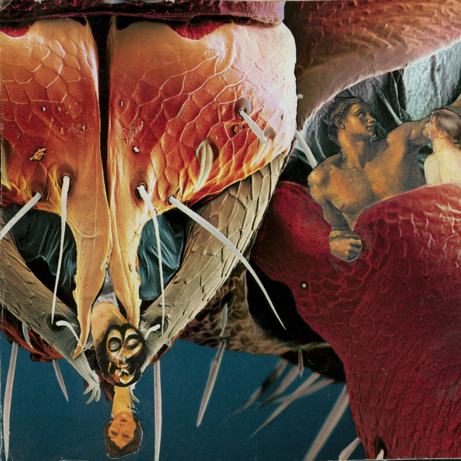 upside down and inside out